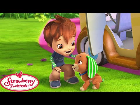 Berry Bitty Adventures 🍓 A Boy and His Dogs 🍓 Strawberry Shortcake 🍓 Kids Movies - Kids TV Series, Kingdom Kids Zone - Strawberry Shortcake - WildBrain