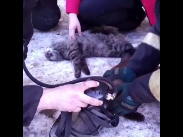 В Магадане пожарные 