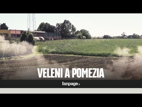 Farmaci per la cura a lungo termine delle articolazioni Ankle Lock elastico per comprare a San Pietroburgo