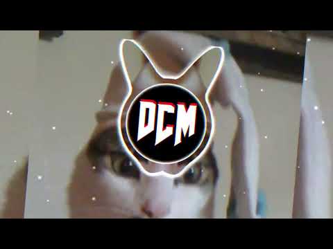 STAYNS - DUMBCAT [CLIP]