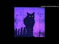 Black Cat (Instrumental Reprod.)