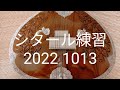 シタール 練習 20221013 sitar