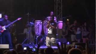 Wale - Sabotage (Live at Lollapalooza 2012)