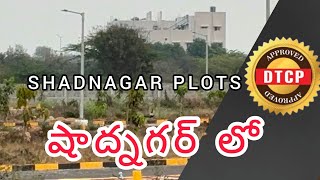 Open Plots for Sale Shadnagar Near NRSC Annaram Village Banglore Highway #RealestateNews #OpenPlots