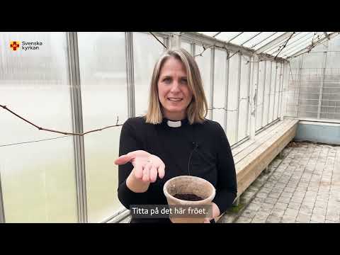 Digital andakt - Att växa i tro