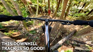 My Favorite Downhill Trail @ Redwoods Rotorua