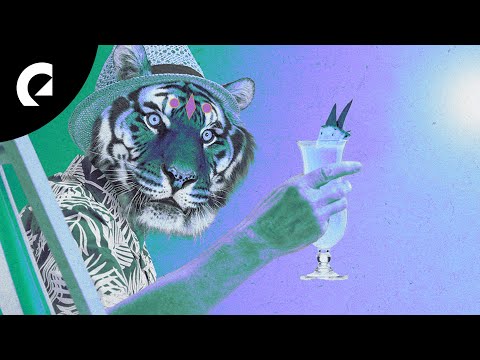 Don Bacilón - Louie Vee