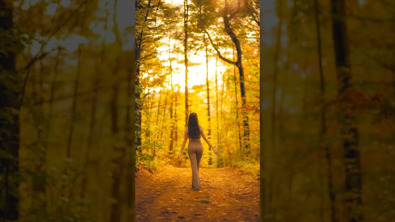 Fall foliage currently loading 🍂 autumn flashback photoshoot with @noellabarone 🍁