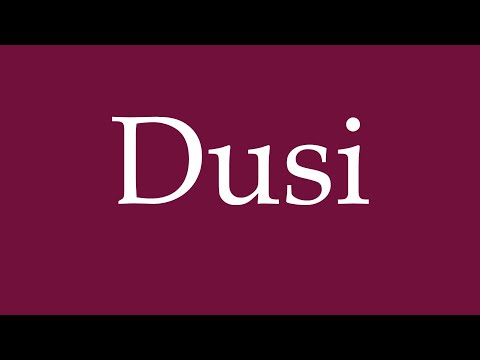 How to Pronounce ''Dusi'' Correctly in German