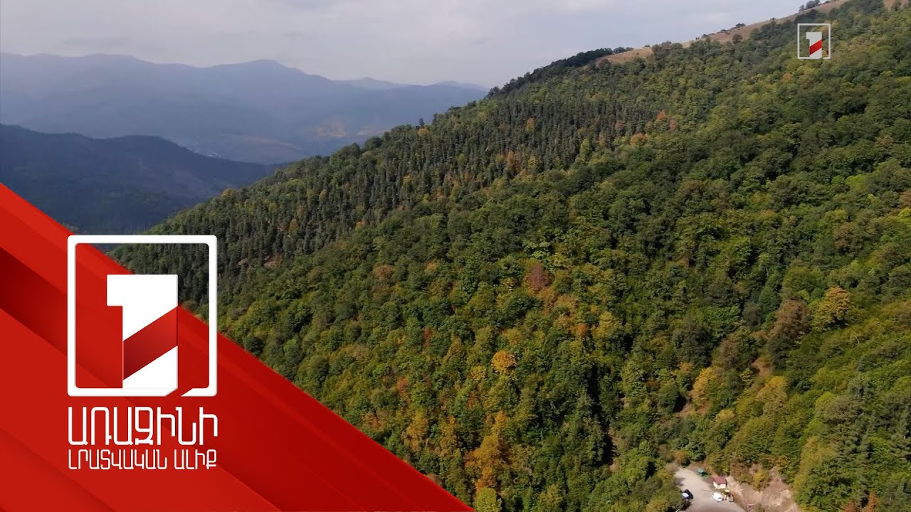 Անտառների նկատմամբ վերահսկողությունը կուժեղացվի