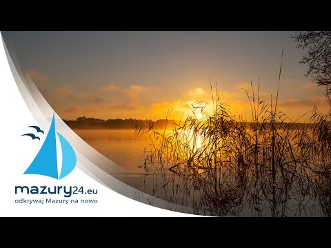 Listopadowe Mazury i zwierzęta 2020 r.
