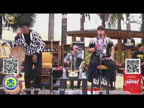 Moleca video
