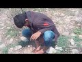 Nadiya Dhari