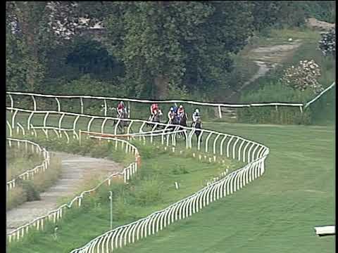 Galoppo 31/07/2019 - 4ª corsa