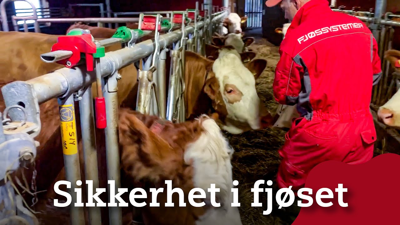 Fangfront og sikkerhetsbrakett