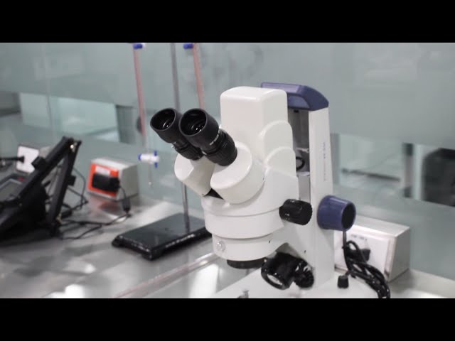 imagen-video-thefoodtech