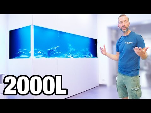 Das XXL Aquarium in Luxemburg ist Fertig!