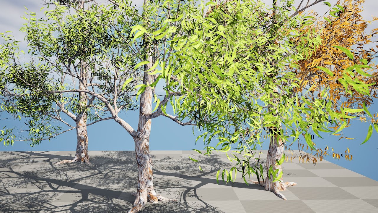 Realistic Gum Tree s 3D Model