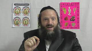 למקד את ההתבוננות, החכמה של שלמה המלך - ביאור הגר"א על קהלת