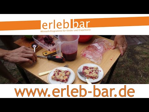 Kleines ABC der Erntehilfen – Jostabeeren ernten und verarbeiten