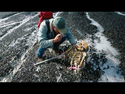 Show Me the World and imineo Documentaries