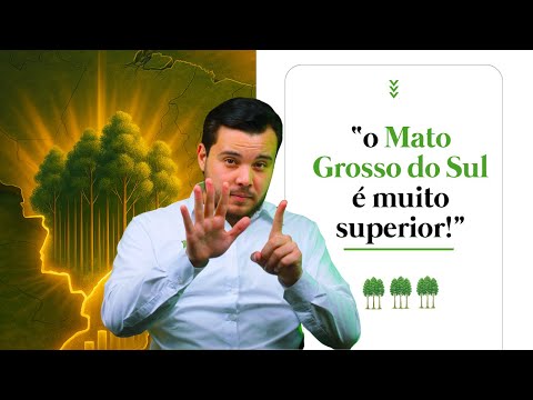 6 RAZÕES POR QUE O MATO GROSSO DO SUL É O MELHOR LUGAR PARA EUCALIPTO