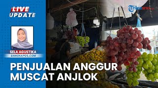 Diduga Terpapar Pestisida Berbahaya, Omzet Penjualan Anggur Muscat di Kota Pangkalpinang Anjlok