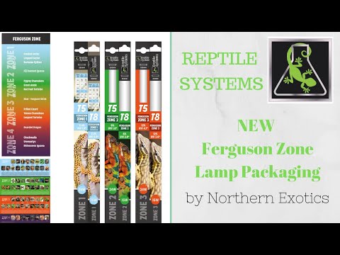 Watch Video on YouTube