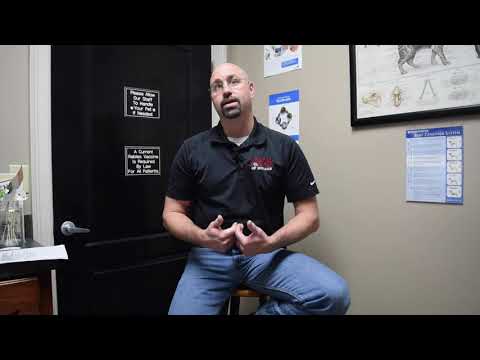 Does my pet need heartworm prevention?