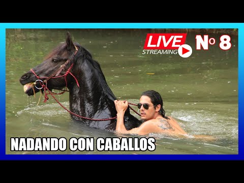 , title : 'Cómo nadar con caballos - Manejo Natural del Caballo en vivo 8ª transmisión'