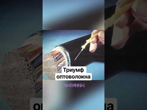 Триумф оптоволокна #амитеш #технологии