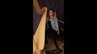 So Sorry   I   Feist (Harp Cover)