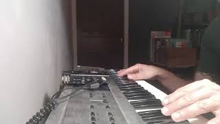 Video thumbnail for Ambient Hohner HS-2 / Casio VZ-1 Synthesizer by David David