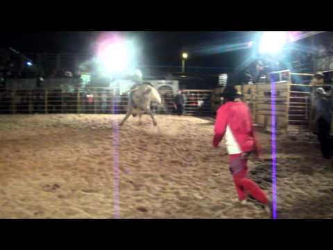 Gilmar Fernandes vs Coqueluche Expolin