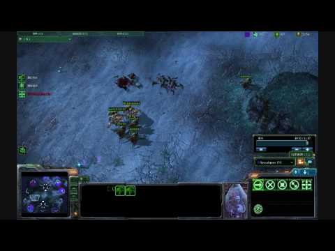 Starcraft2 Beta 2v2 [TZ vs ZZ] How to go against brainless roaches Part2