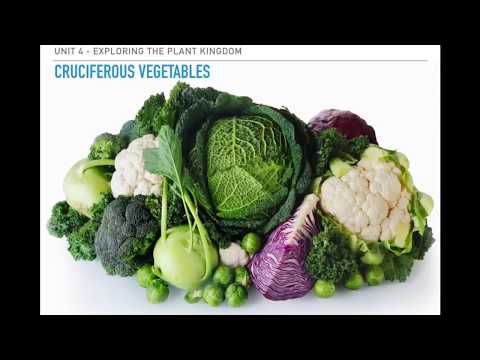 BIOL 200 - 12 - Exploring the Plant Kingdom