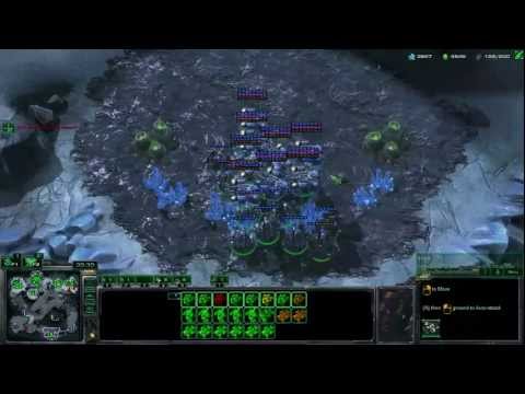 Heart of the Swarm Beta - Vs WarSanG(Z)