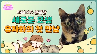 [행복을 줄개냥] 아버지가 선물한 새로운 '묘생' 유자와의 첫 만남