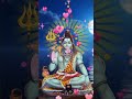 ️Shiv Ki Amritvani Jay Shiv Shankar Status ️