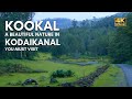 Kookal Kodaikanal Drive To A Beautiful Forest Nature Vlog 63