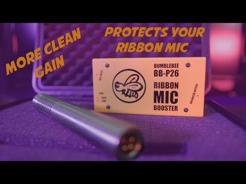 Why you should try the BB-P26 - Ribbon Mic Booster from Bumblebee Pro Audio