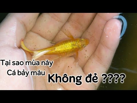 jdshakjdhaskjdhasjk