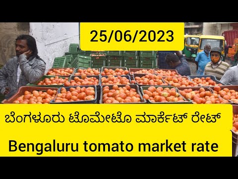Bengaluru tomato market rate today/25/06/2023