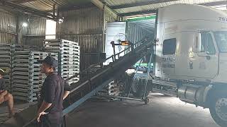 MV CT384- EGHU3973406