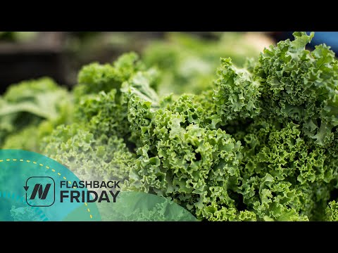 Flashback Friday: Pros and Cons of a Macrobiotic Diet