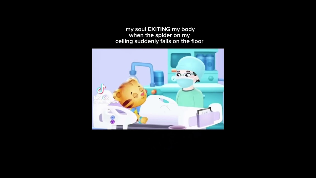 no joke this happened yesterday and I screamed😍 #shortsfeed #danieltiger #memes