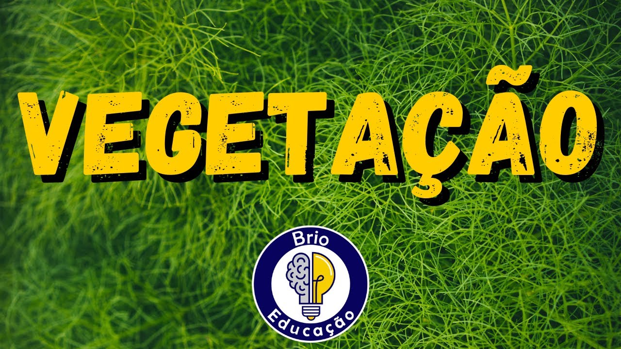 Geografia: Vegetação |Ensino Fundamental|