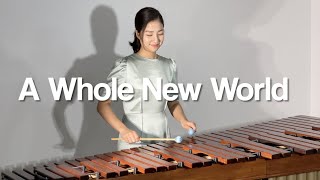 A Whole New World (from Aladdin) / Marimba Cover