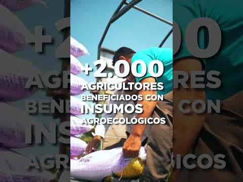 CANTONIZACIÓN DE PALESTINA | 2025