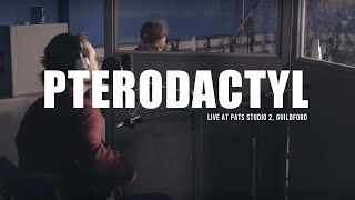 Pterodactyl - Alec Sala